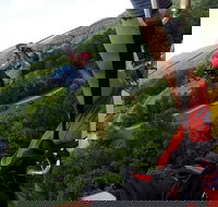 New River Gorge Zip Lining - Accommodation Philadelphia