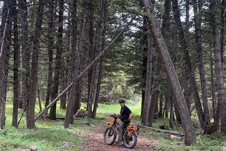 E-Bike Tours In Yellowstone National Park - thumb 4