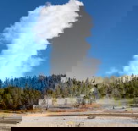 Full-Day Private Safari of Yellowstone - Accommodation Philadelphia