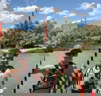 Surfin In The Rockies Duckie Tours - Accommodation Philadelphia