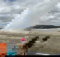 Yellowstone Open Air Tours by Cody Wyoming Adventures - Accommodation Philadelphia