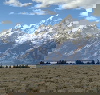 Grand Loop Yellowstone Wildlife and Photo Tour - Accommodation Philadelphia