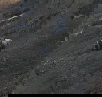 Yellowstones Upper Loop Tour smaller group sizes for better tour experience - Accommodation Philadelphia