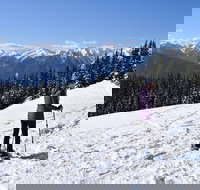 Hurricane Ridge Guided Snowshoe Tour in Olympic National Park - Accommodation Philadelphia