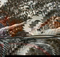 Private Historic Savannah Tour in a Vintage Citron - Accommodation Philadelphia