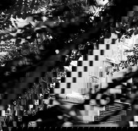 Genteel and Bard's Savannah Dark History and Ghost Walking Tour - Accommodation Philadelphia