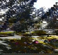 Yoga in Forsyth Park - Accommodation Philadelphia