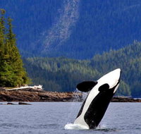 Misty Fjords Expedition by Private Boat - Accommodation Philadelphia