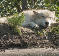 Glaciers and Wildlife: Super Scenic Day Tour from Anchorage - Accommodation Philadelphia