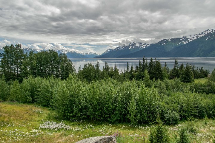 Glaciers And Wildlife: Super Scenic Day Tour From Anchorage - thumb 3