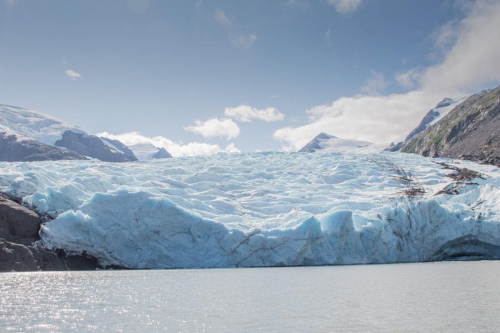Glaciers And Wildlife: Super Scenic Day Tour From Anchorage - thumb 4