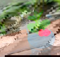 Small-Group Cocktail Tour in Denver - Accommodation Philadelphia