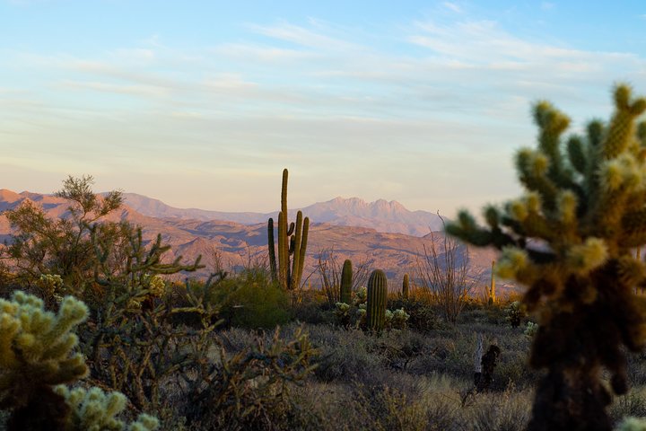 Sonoran Desert Jeep Tour At Sunset - thumb 0