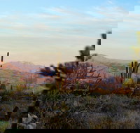 Sonoran Desert Jeep Tour at Sunset - Accommodation Philadelphia