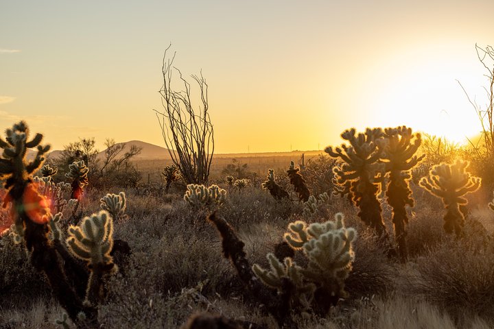 Sonoran Desert Jeep Tour At Sunset - thumb 2