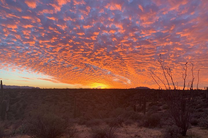 Sonoran Desert Jeep Tour At Sunset - thumb 3