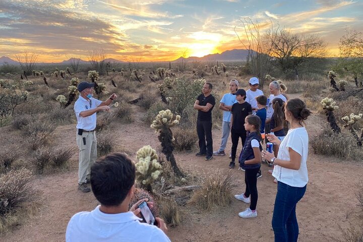 Sonoran Desert Jeep Tour At Sunset - thumb 5