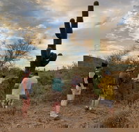 Sonoran Desert Jeep Tour - Accommodation Philadelphia