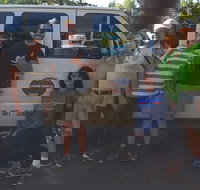 Grand Canyon Sightseeing Tour from Flagstaff - Accommodation Philadelphia