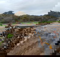 ATV Sand Buggy Tour Scottsdale - 2 Person Vehicle - Accommodation Philadelphia