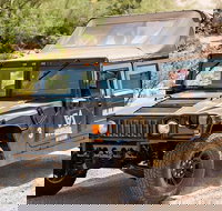 Sonoran Desert H1 Hummer Adventure - Accommodation Philadelphia