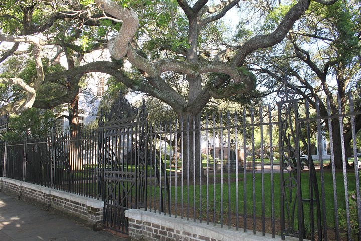 Charleston History Sightseeing Bus Tour With Joseph Manigault House Option - thumb 3
