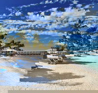 Miami: Key West Open Bar Snorkel Boat or other options - Accommodation Philadelphia