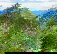 Private Rocky Mountain National Park Tour from Denver - Accommodation Philadelphia