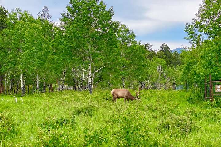Rocky Mountain National Park Tour From Denver - thumb 0