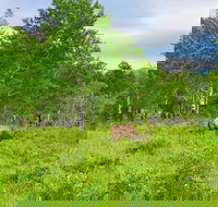 Rocky Mountain National Park Tour from Denver - Accommodation Philadelphia