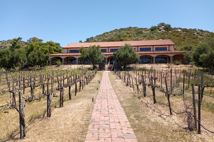 Oceanside, Auto Museum & Winery Tour & Tasting - thumb 0