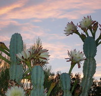 Apache Trail and Dolly Steamboat Tour - Accommodation Philadelphia