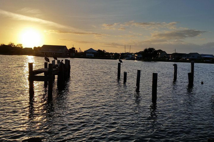 Walking Photo Or Video Experience For Your Visit To The DMV - thumb 1