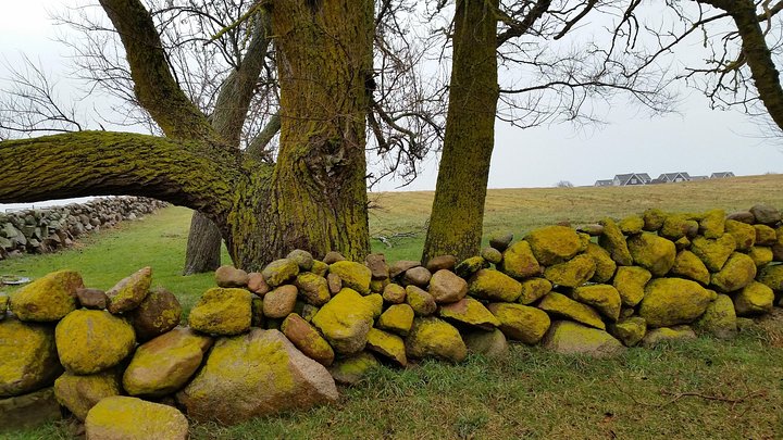 Walking Photo Or Video Experience For Your Visit To The DMV - thumb 2