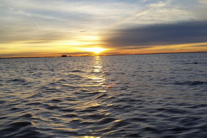 Walking Photo Or Video Experience For Your Visit To The DMV - thumb 4