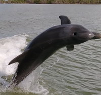 Everglades National Park Boating Expedition with Florida Master Naturalist Guide - Accommodation Philadelphia