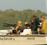 Private Everglades National Park Photo and Wildlife Safari - Accommodation Philadelphia
