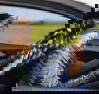 Historical Baltimore Self-Driving Sightseeing Audio Tour - Accommodation Philadelphia