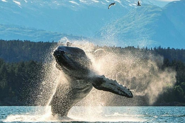 2 Hour Custom, Private, Group Charter - thumb 3