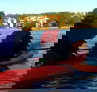 Dolphins and Wildlife Kayak Experience from Gulf Shores - Accommodation Philadelphia