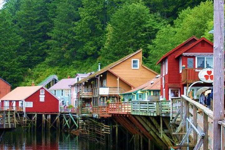 Ketchikan City And Wildlife Tour - thumb 1