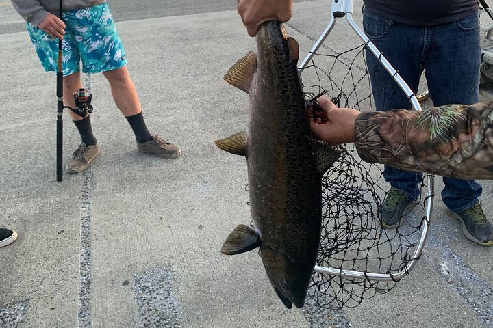 Ketchikan City And Wildlife Tour - thumb 3