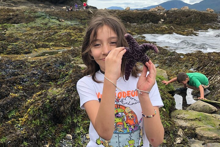 Ketchikan City And Wildlife Tour - thumb 5