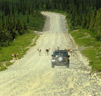 Denali Highway Jeep Excursion - Accommodation Philadelphia