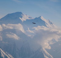 Denali Peak Sightseeing by Plane - Accommodation Philadelphia