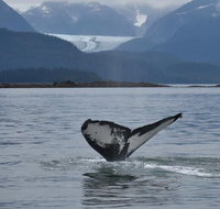 5 Star Juneau by Land & Sea - Accommodation Philadelphia