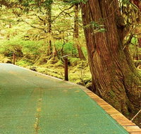 Ketchikan Shore Excursion: Silverking Lodge Adventure & Seafeast - Accommodation Philadelphia